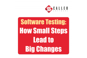 Software testing small steps big changes