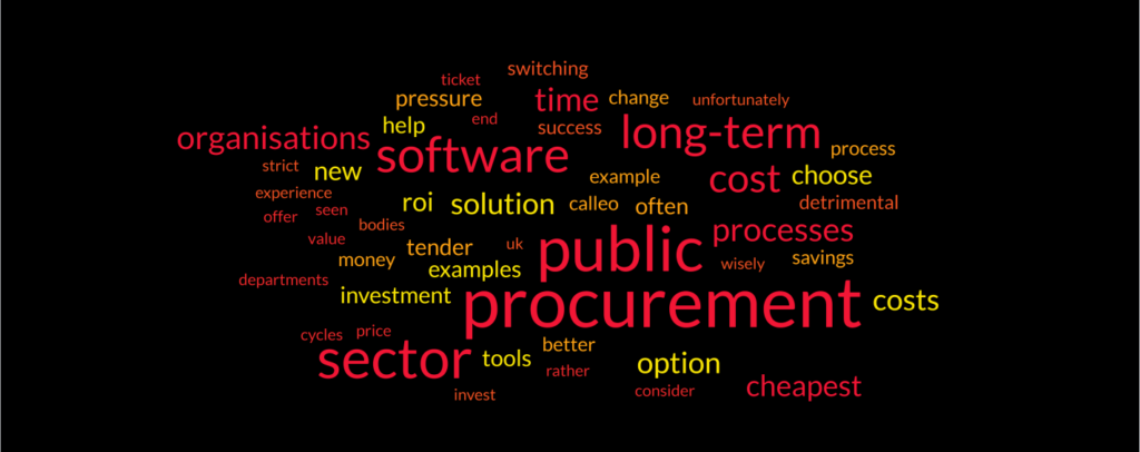 Public Sector Procurement Challenges